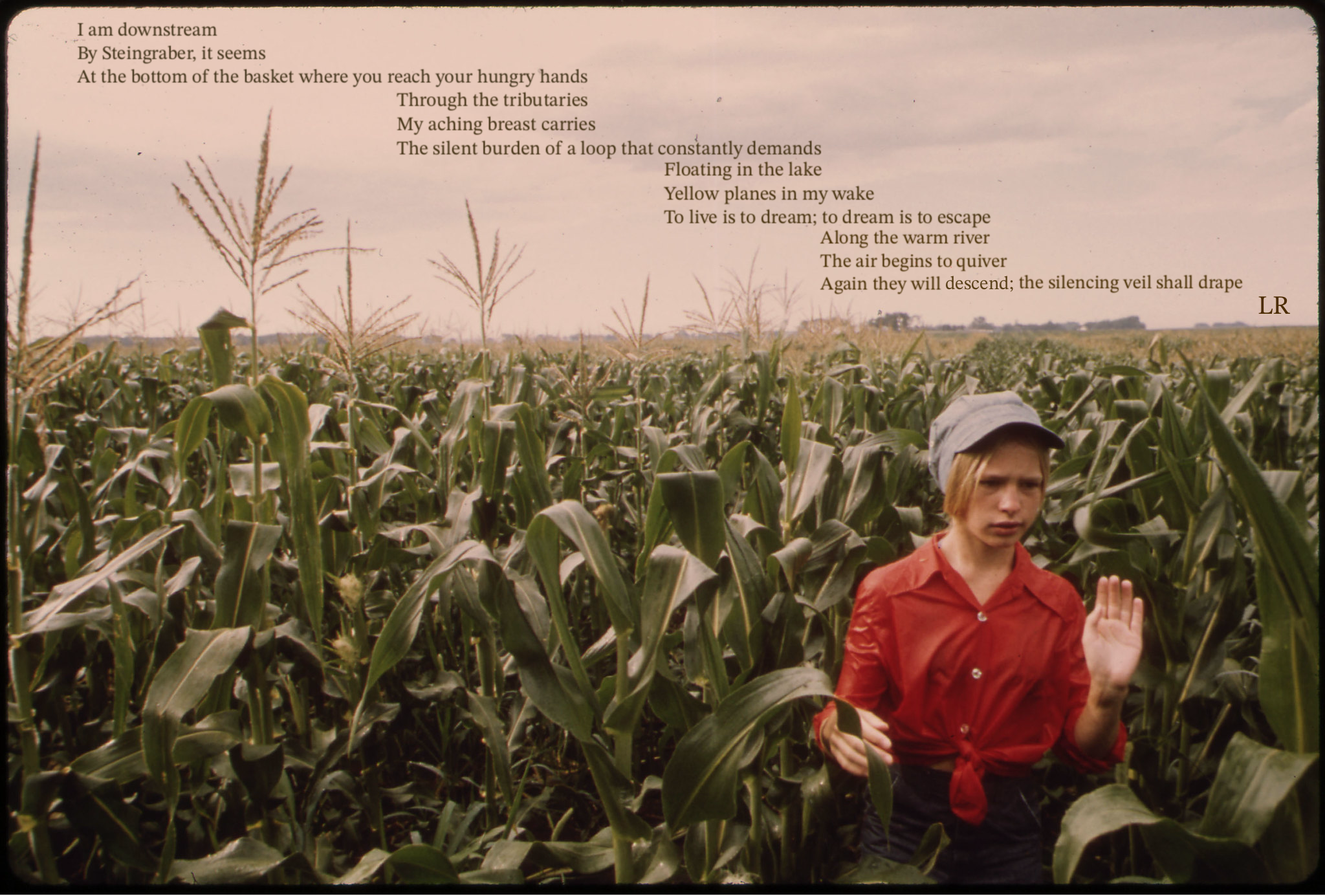 Sepia image of person in a corn field with a red shirt and gray hat, palm to the camera.