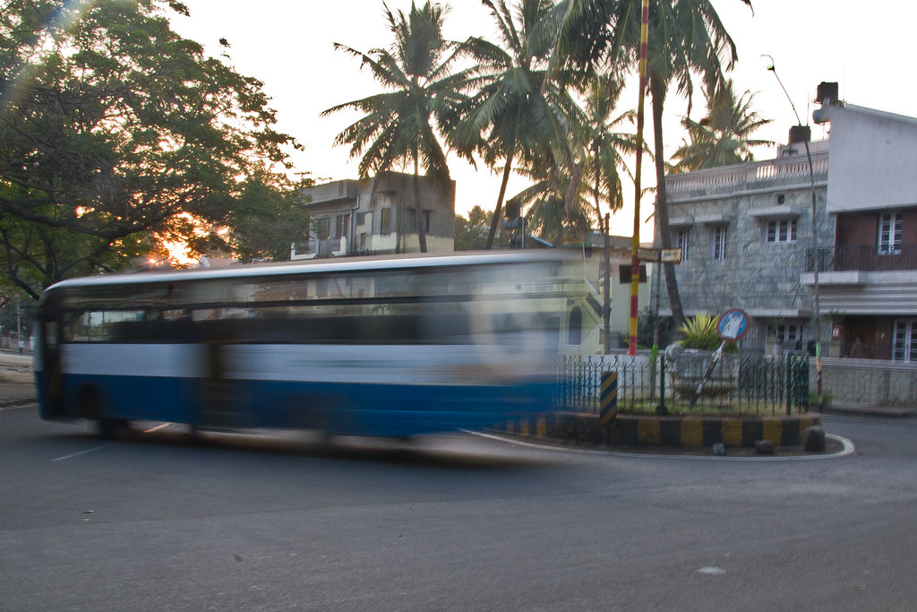 This image shows a blurred moving bus and palm trees.