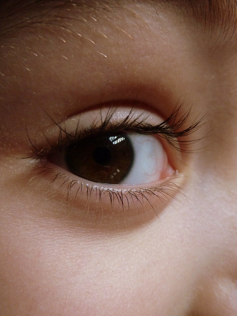 This is an image of a brown eye with long eyelashes.